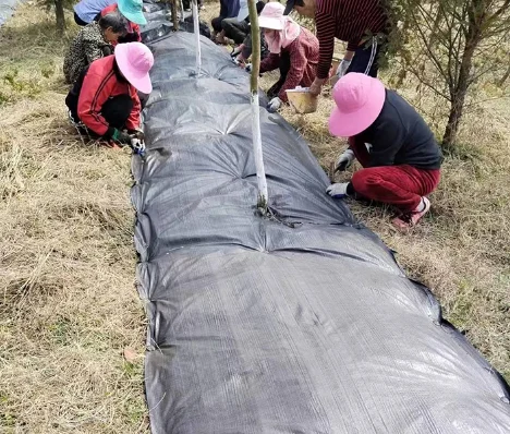 工作掠影